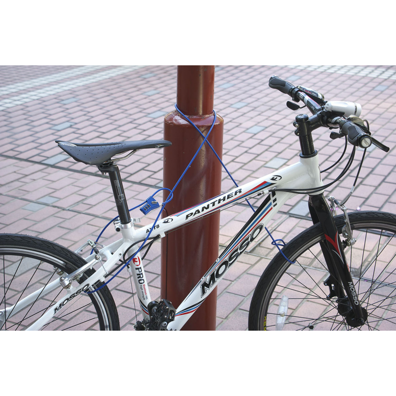 System EX Noose Lock