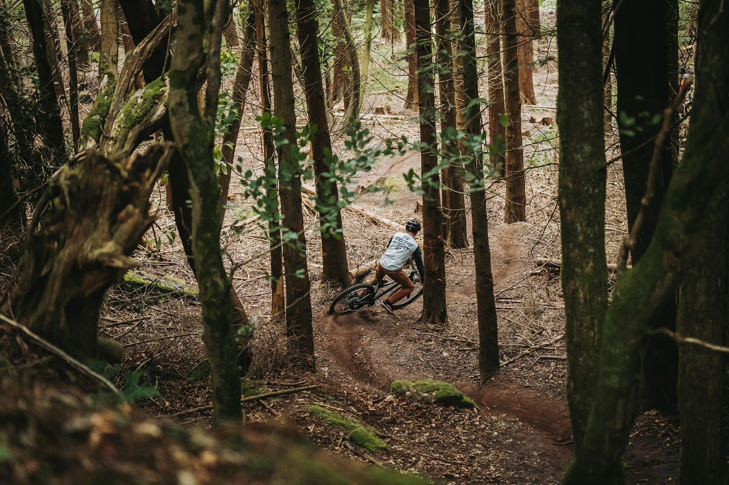 Merida Big Trail 300 - Black (Brown) - MY26 Mountain Bike