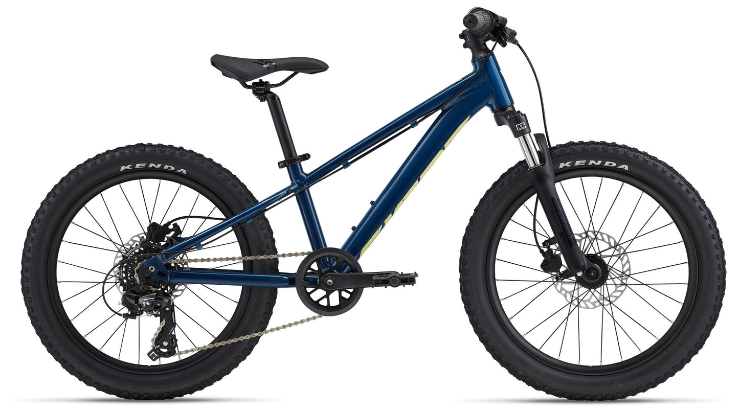Giant STP 20 FS 2024