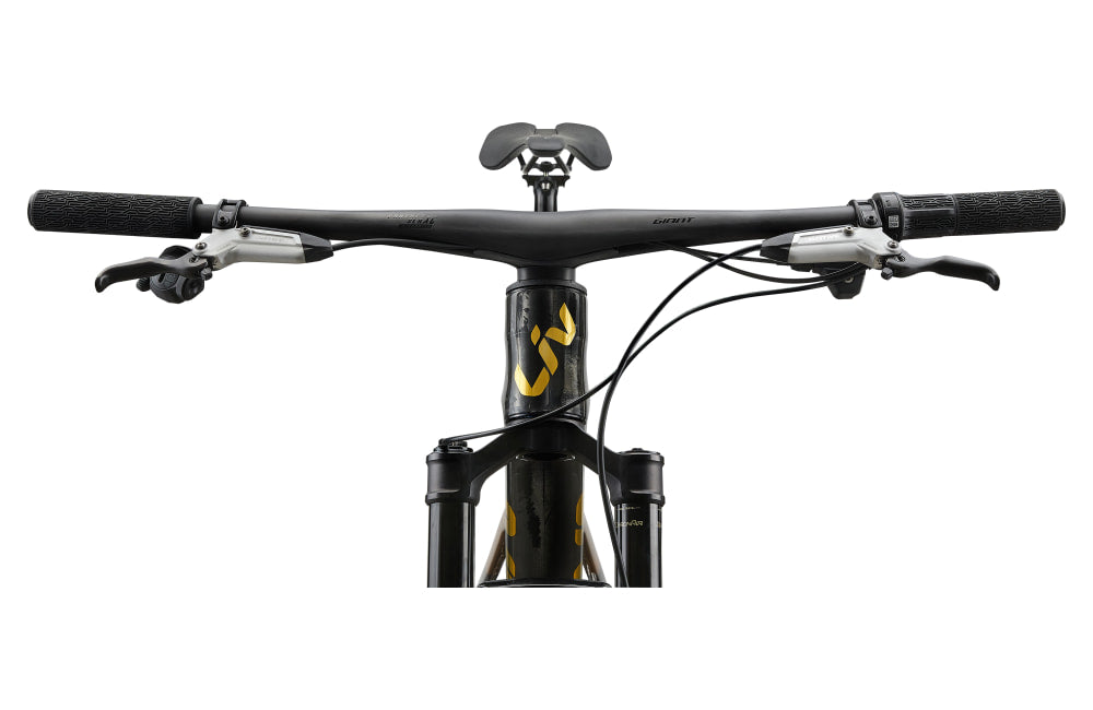 Liv Pique Advanced SL 0 - detail