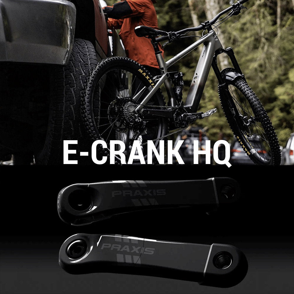 Praxis Works Praxis - eCranks - EC-3 Type 3