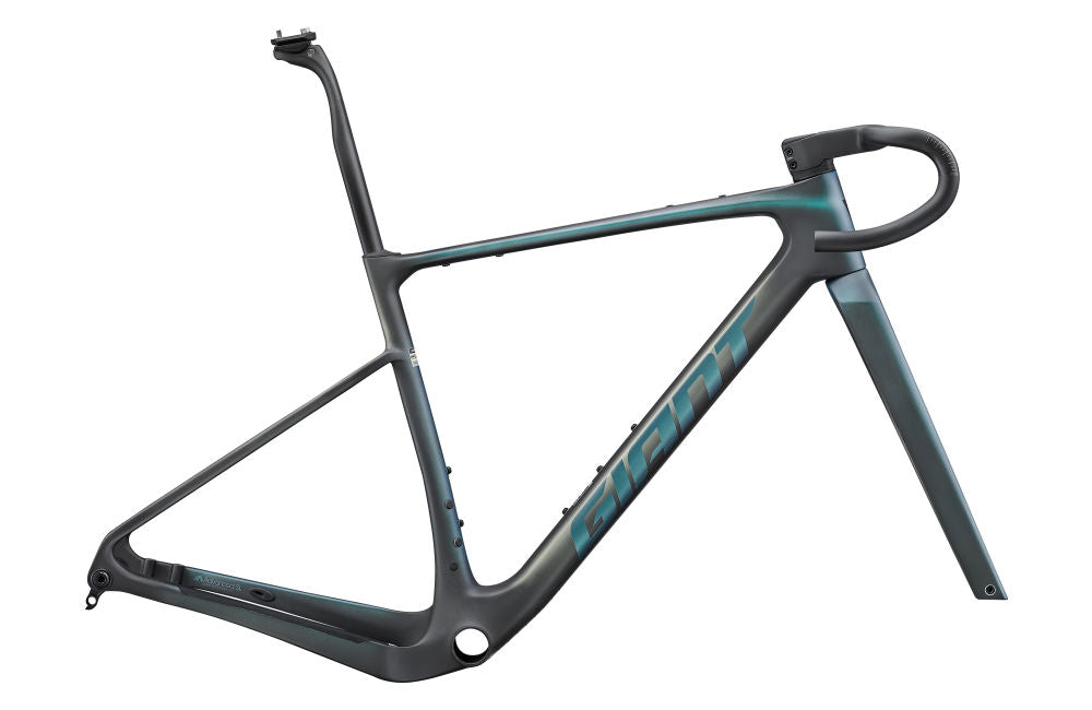 Giant Revolt Advanced SL Frameset