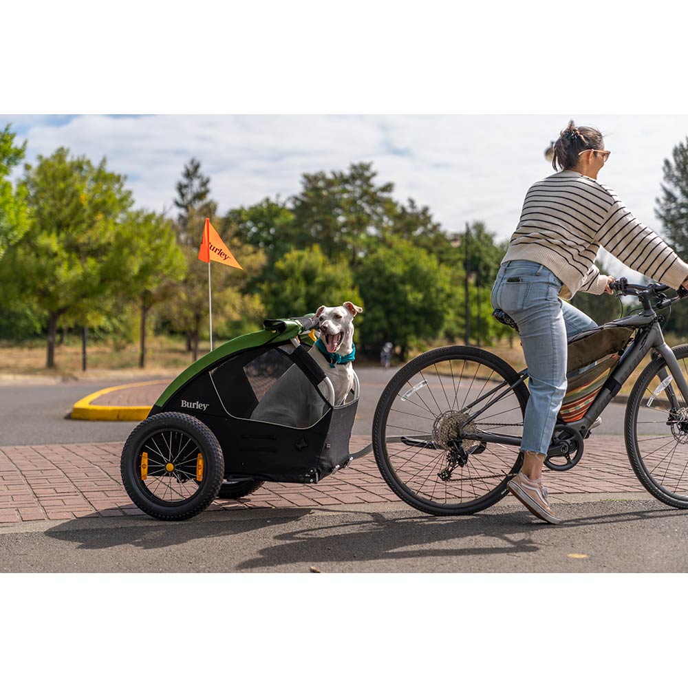 Burley Tail Wagon Pet Trailer