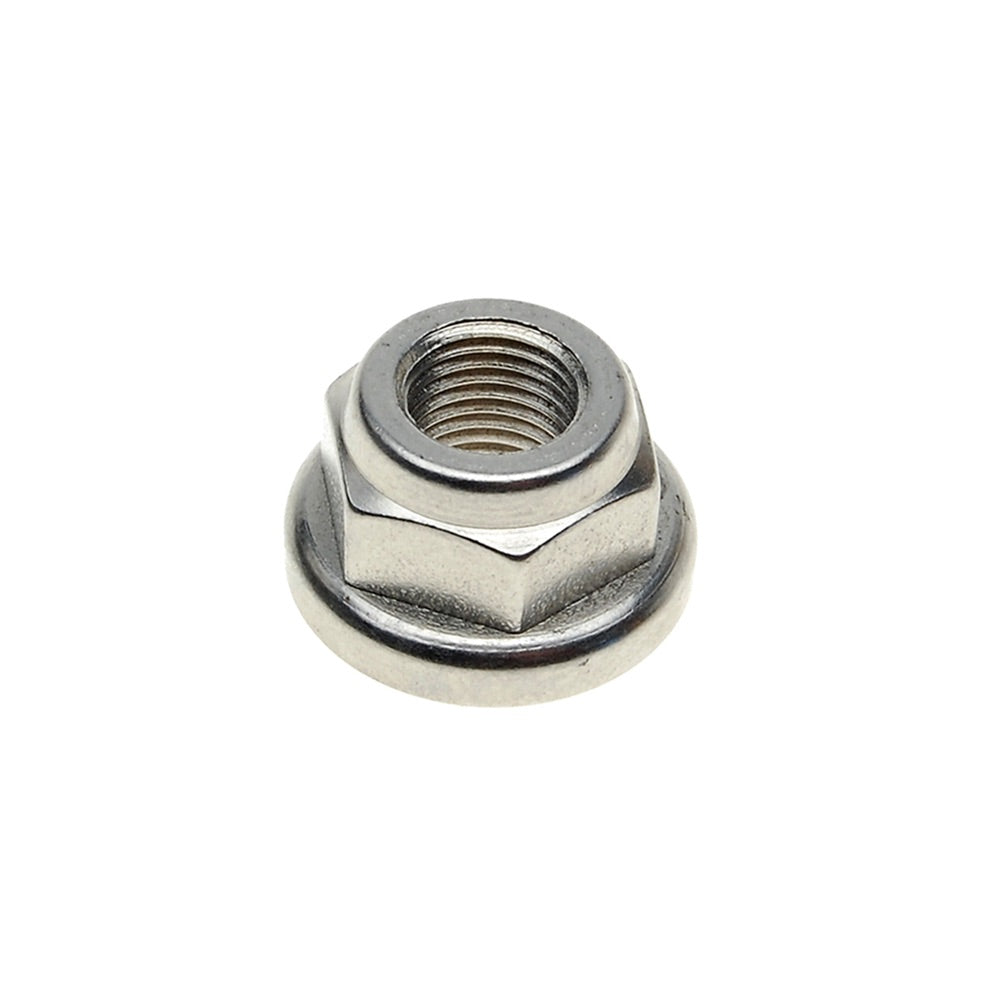 Campagnolo Campag Axle Nuts