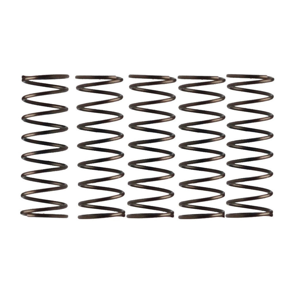 Campagnolo Freehub Pawl Springs