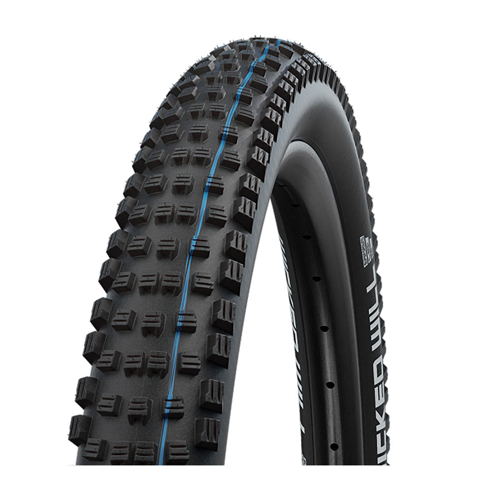 Schwalbe Wicked Will Performance Folding TLE