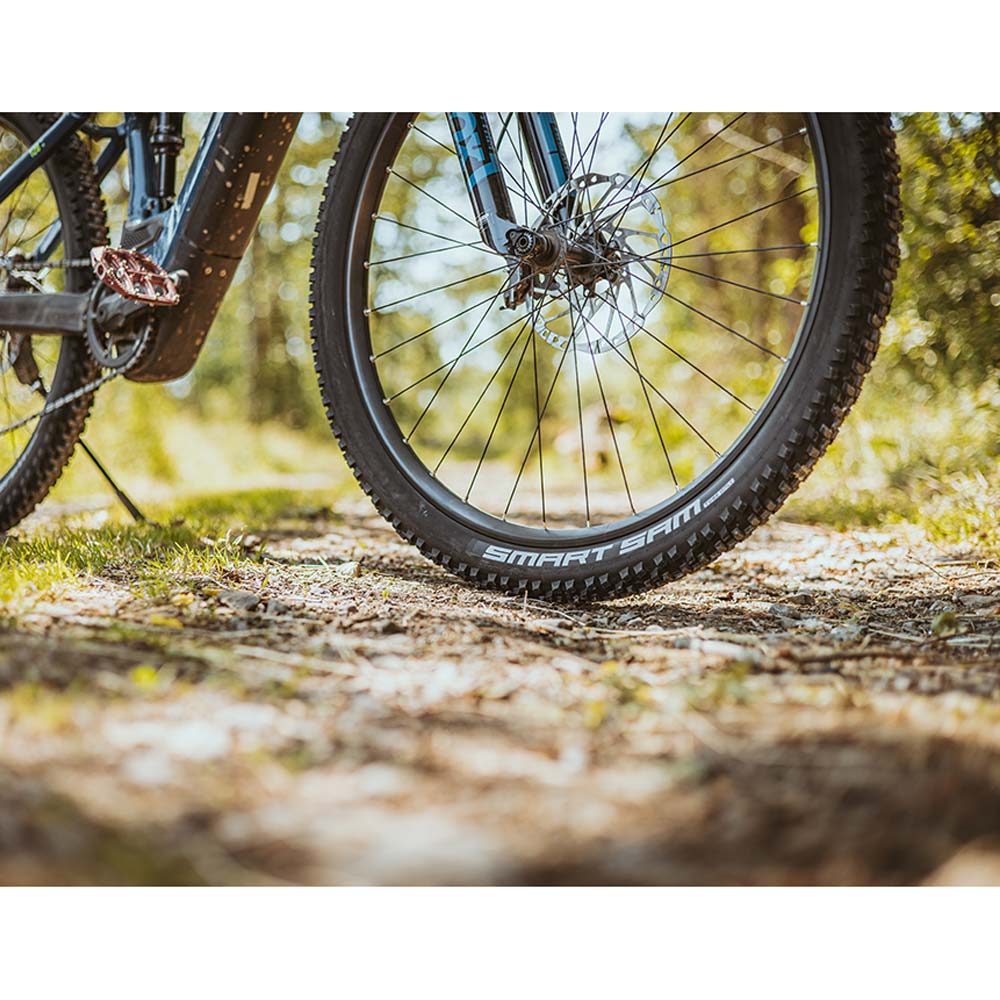 Schwalbe Smart Sam Plus DD GreenGuard