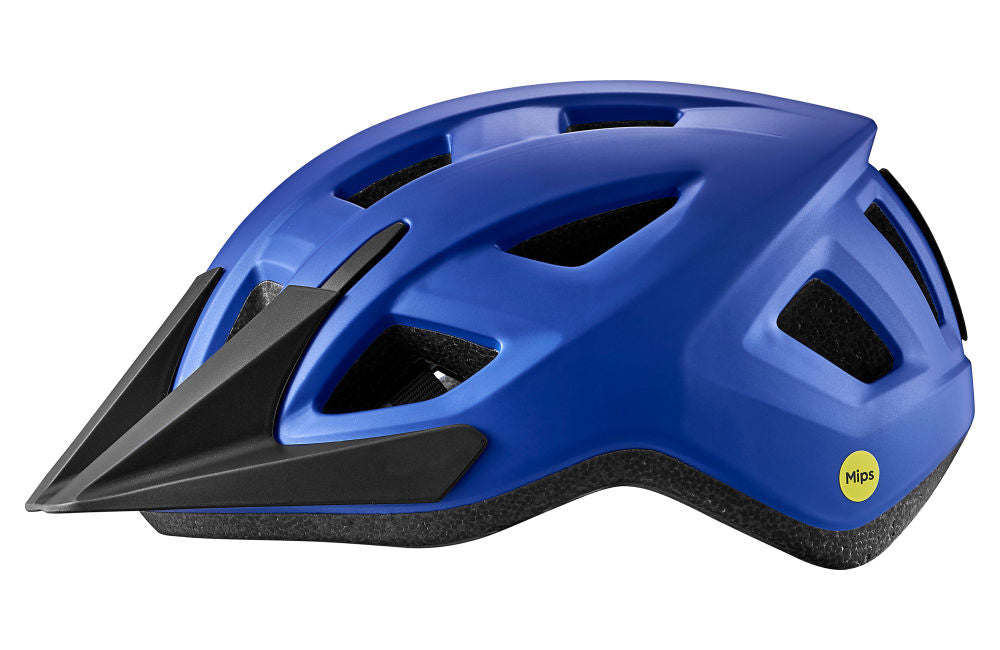 Giant Path ARX Helmet