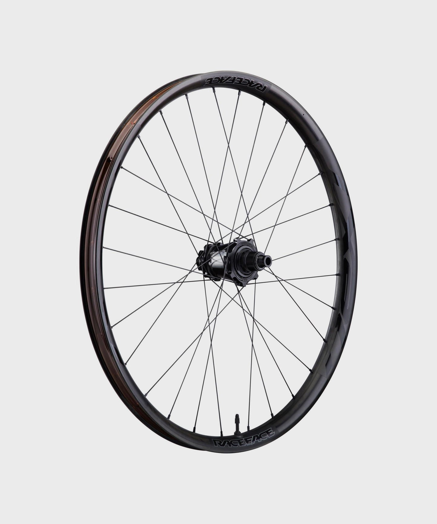 Race Face Next R 31mm Wheel