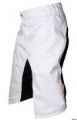 POC DH Short 2012