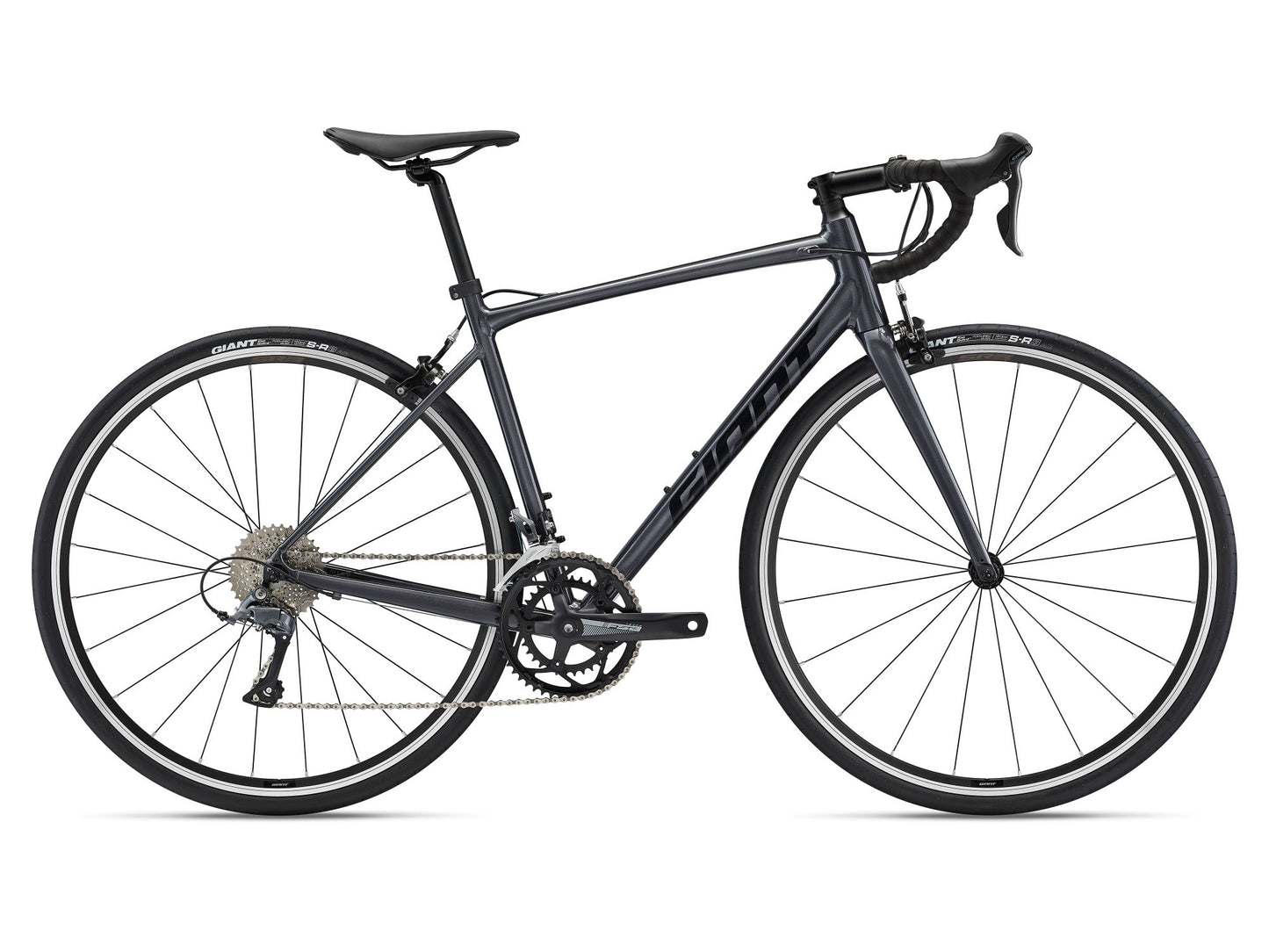 Giant Contend 2 2024