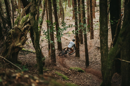 Merida Big Trail 300 - Black (Brown) - MY26 Mountain Bike