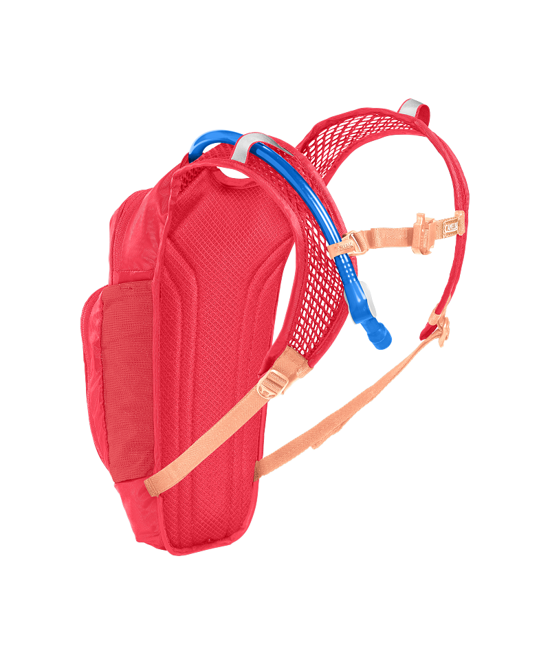 Camelbak MINI MULE 50 OZ
