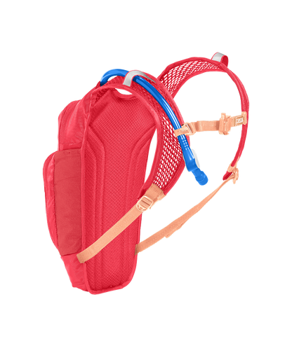Camelbak MINI MULE 50 OZ