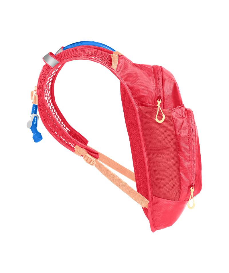 Camelbak MINI MULE 50 OZ