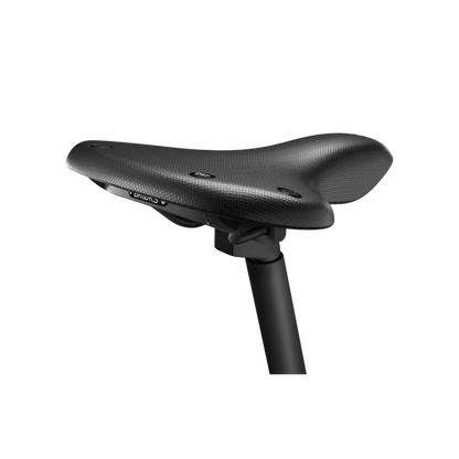 Brooks C67 Cambium