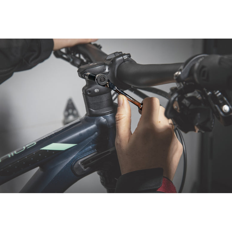 Topeak Torq Stick Pro 4-20 Nm