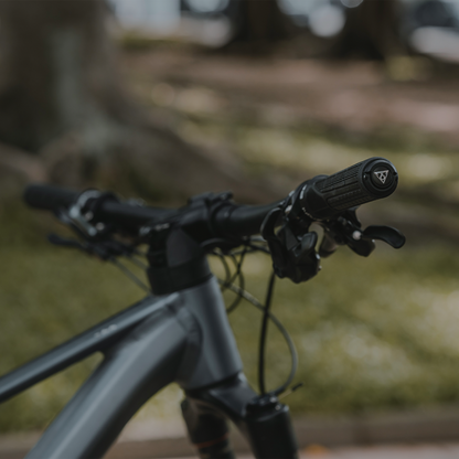 Topeak Plug n Tool Mountain