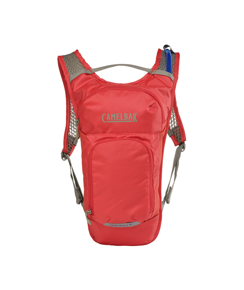 Camelbak MINI MULE 50 OZ