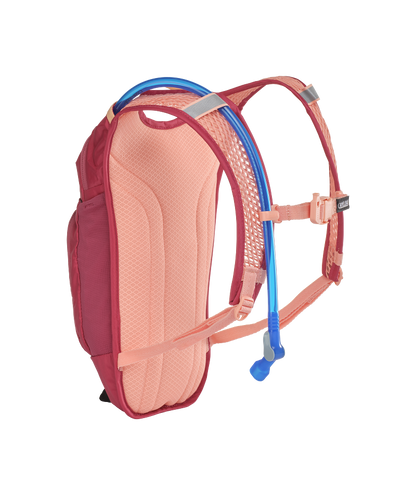 Camelbak MINI MULE 50 OZ