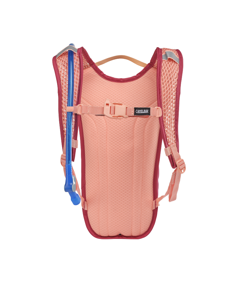 Camelbak MINI MULE 50 OZ