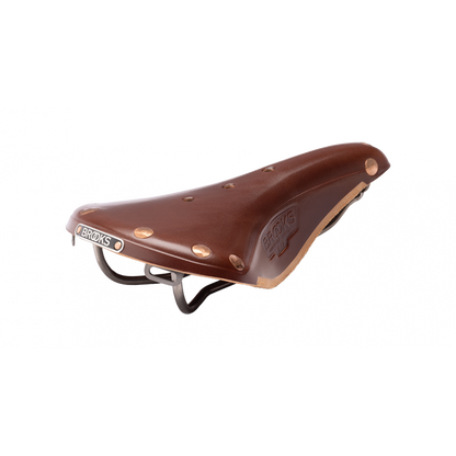 Brooks B17 Special Titanium