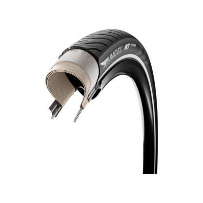 Pirelli Angel WT
