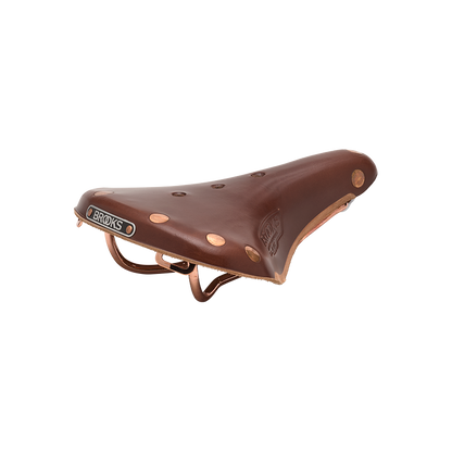 Brooks B17 Special Short