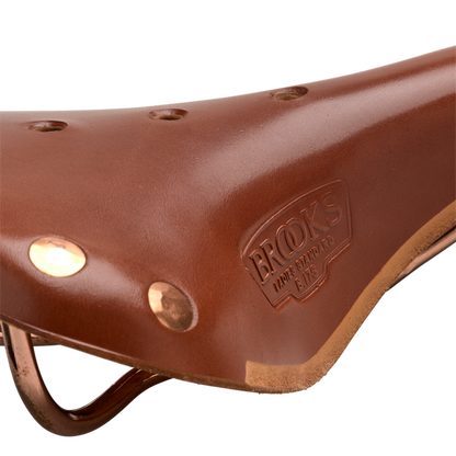 Brooks B17 Special Short