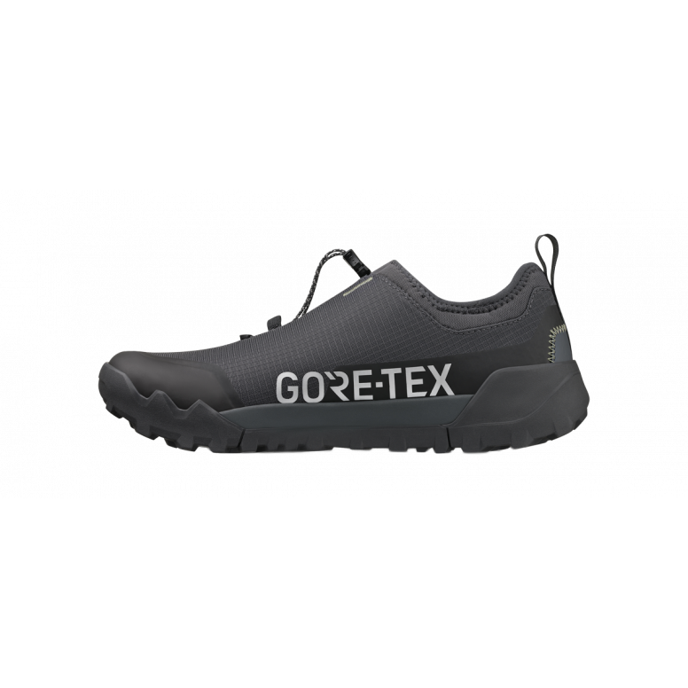 Fizik Ergolace 2 GTX Clip In