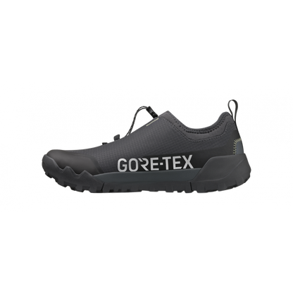 Fizik Ergolace 2 GTX Clip In