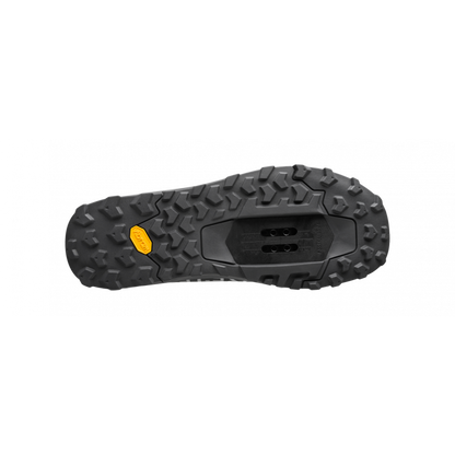 Fizik Ergolace 2 GTX Clip In
