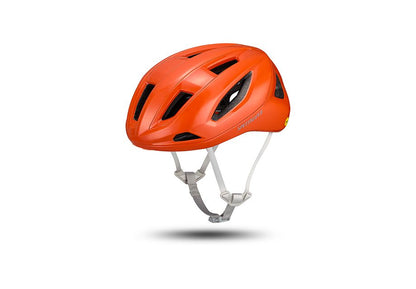 Specialized Search