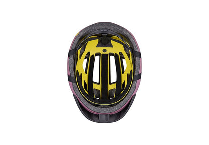Specialized Chamonix 3