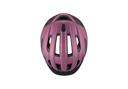 Specialized Chamonix 3