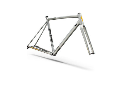 Specialized Crux DSW Frameset - D'Aluisio Smartweld Alloy