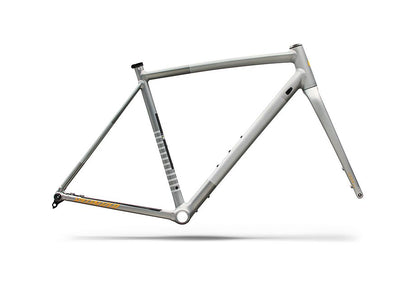 Specialized Crux DSW Frameset - D'Aluisio Smartweld Alloy