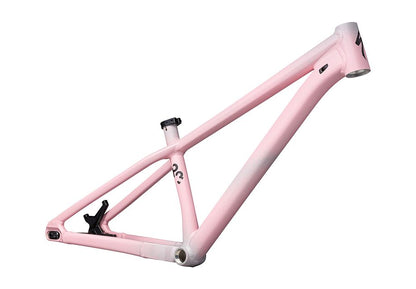 Specialized P.3 Frame