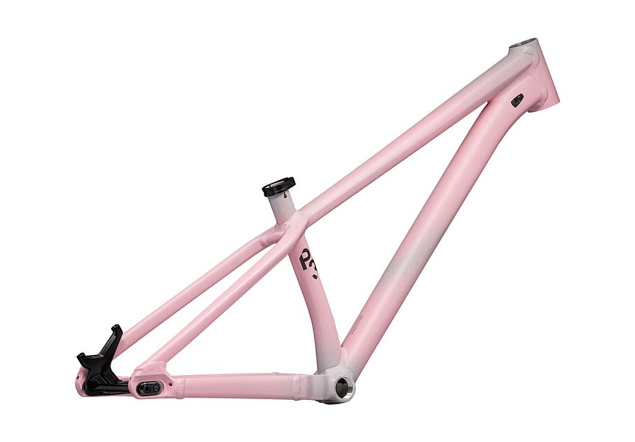 Specialized P.3 Frame
