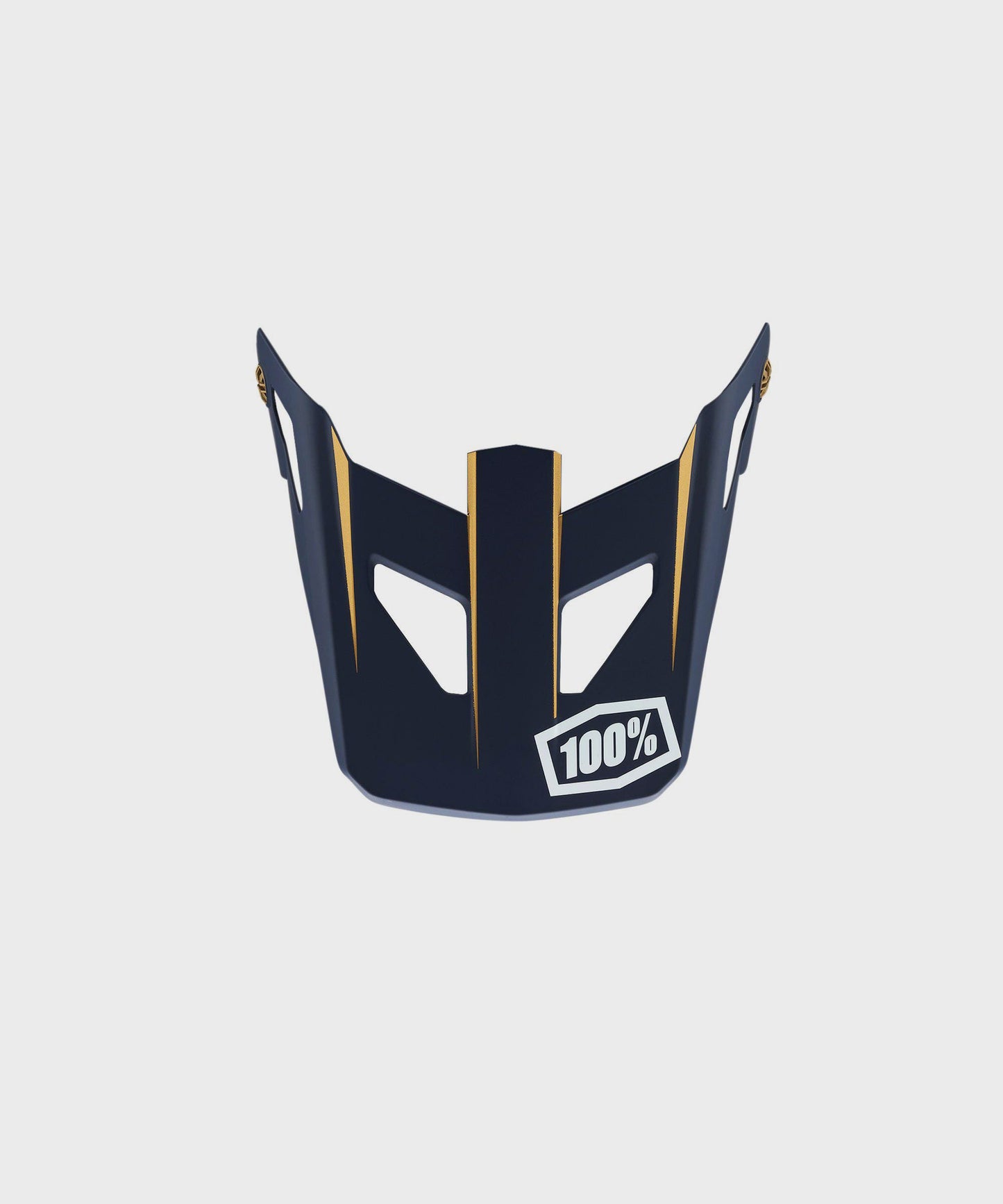 100% Status Replacement Visor