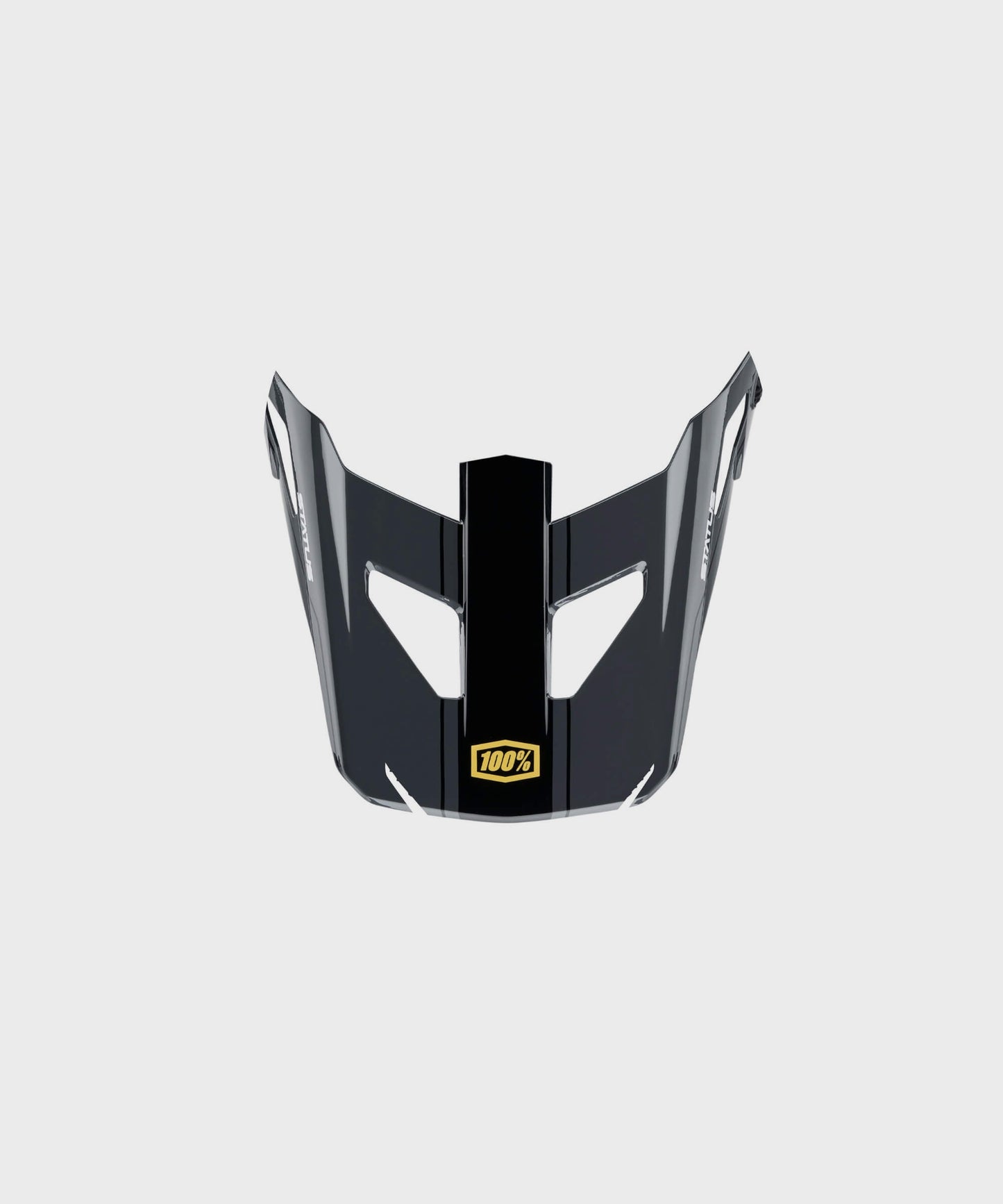 100% Status Youth Replacement Visor