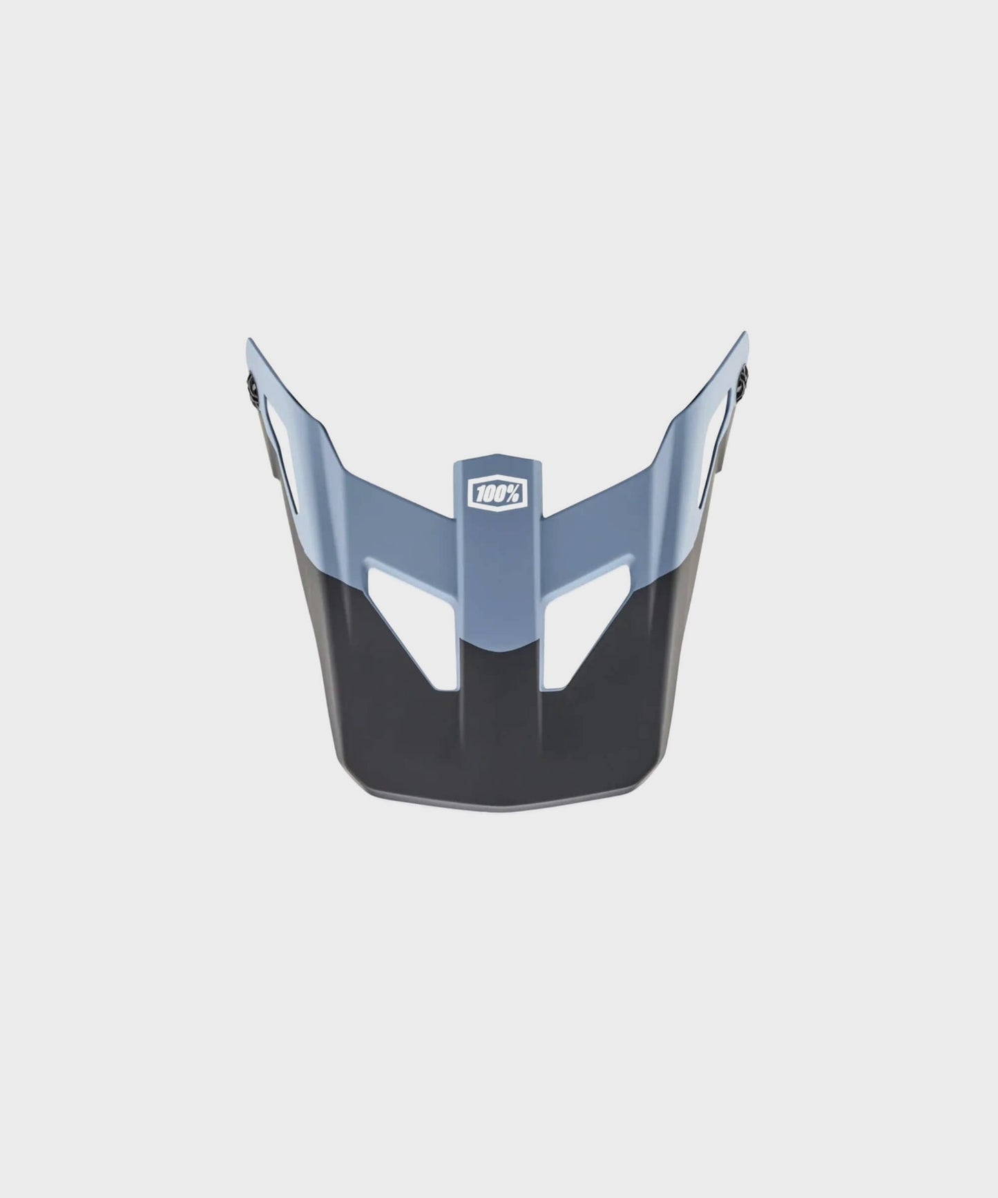 100% Status Youth Replacement Visor