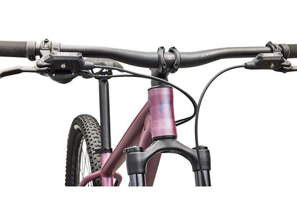 Specialized Rockhopper Expert