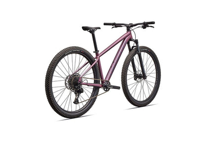 Specialized Rockhopper Expert