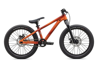 Specialized P.1