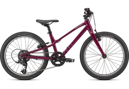 Specialized Jett