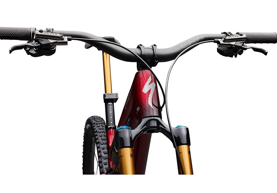 Specialized S-Works Stumpjumper 15 EVO - Shimano XTR Di2, FOX Factory