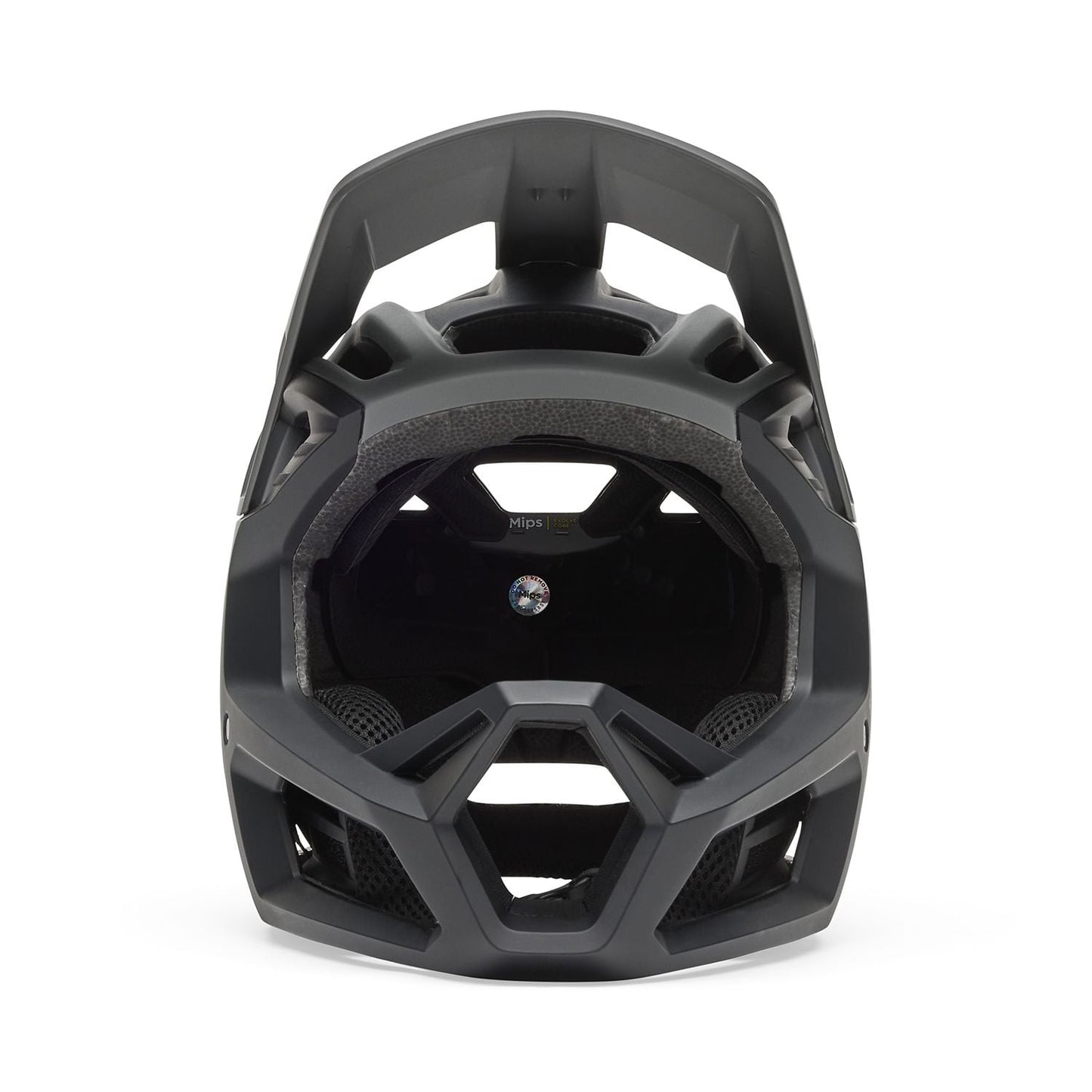 Fox Youth Proframe Rizer Mips Full Face Helmet