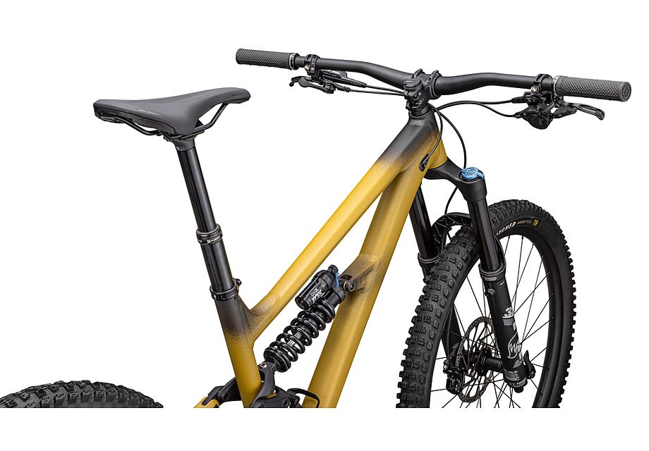 Specialized STATUS 2 170