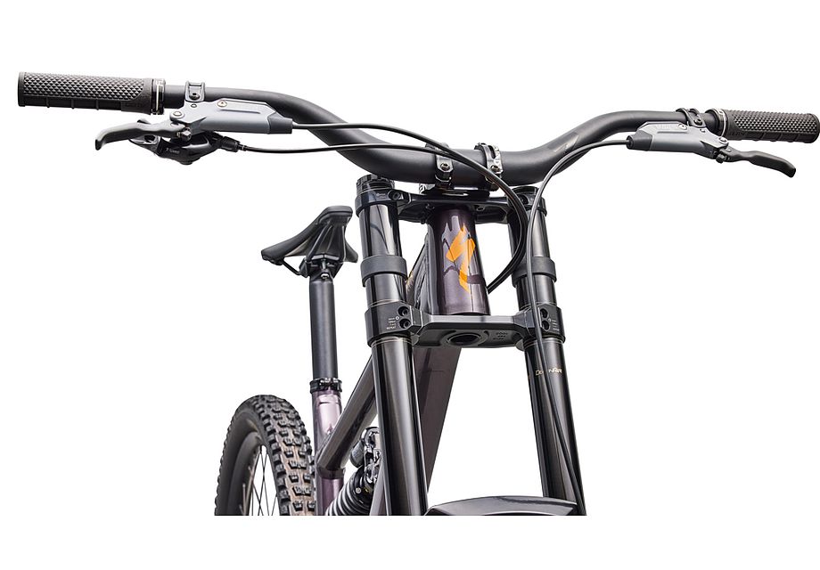 Specialized STATUS 2 170 DH